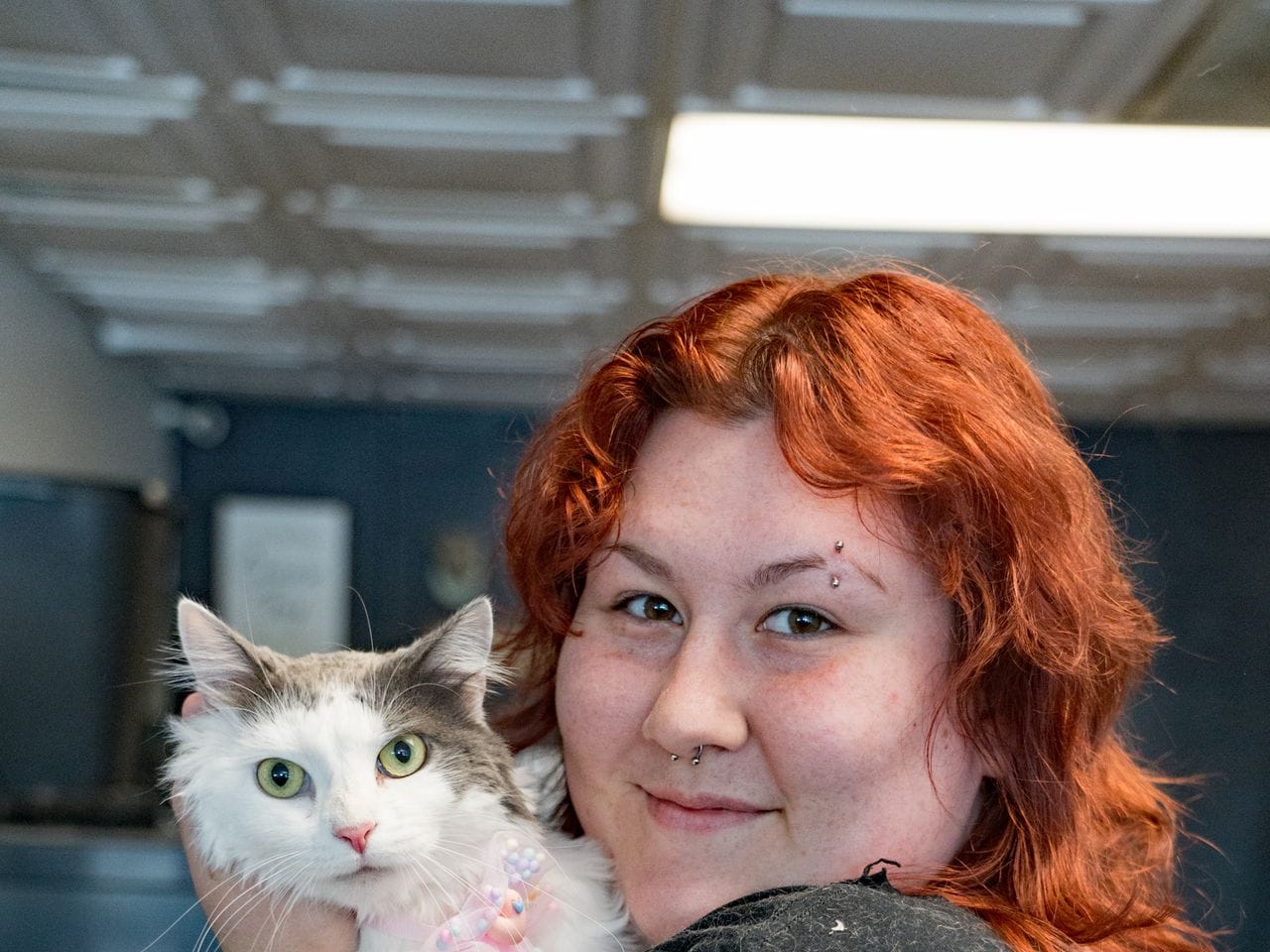 A cat being groomed at Pure Joy Pet Salon